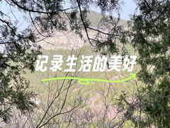 -佛慧山