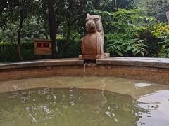 -张家港金凤凰度假村温泉