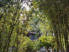 -碑林公园