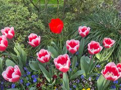 -浙江西子宾馆·瑶园咖啡厅