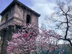 -紫霞湖公园
