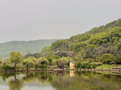 -龙寺生态园