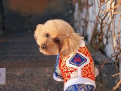 -小意思咖啡店(草桥店)