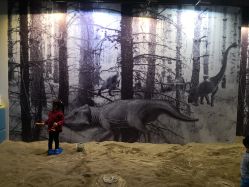 -恐龙探索乐园(磁器口店)