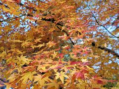 -上海市龙华烈士陵园