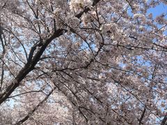 -苏州上方山国家森林公园