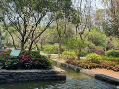 -南宁荔园维景国际酒店·荔园中餐厅