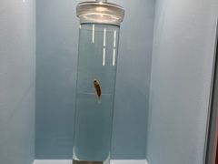 -天津自然博物馆