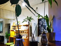 -沏点Trattoria意大利餐厅(新街口店)