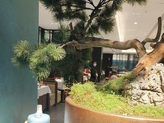 -金春禧(世茂国际广场店)