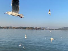 -怡莱酒店(无锡火车站南广场店)