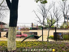 -上海野生动物园