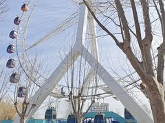 -北戴河集发农业梦想王国