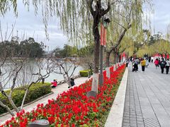 -西湖公园(鼓楼区)