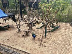 -武汉动物园