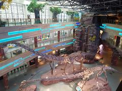 -安徽省地质博物馆