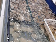 -海天盛宴新派海鲜自助餐厅(群力店)