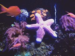 -成都浩海立方海洋公园