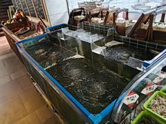 -奉天掌柜·非遗猪手·笨饺子(崇山路店)