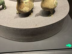 -广西壮族自治区博物馆