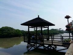 -大湾区中央湿地公园