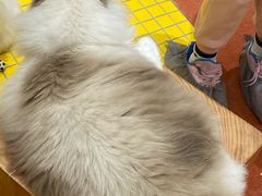 -上海第一八佰伴