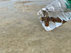 -红树林天天赶海