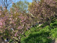 -长白岛森林公园