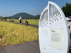 -艾米稻香小镇