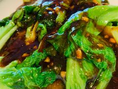 蚝油罗马生菜-老板恋上鱼(环山路店)