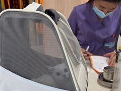 -恒幸动物医院·急重症转诊中心·神经内外科·CT核磁
