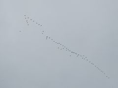 -鑫艋游艇海钓俱乐部