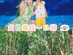 -南昌海洋公园