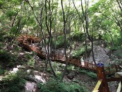 -大岭沟猕猴桃谷风景区