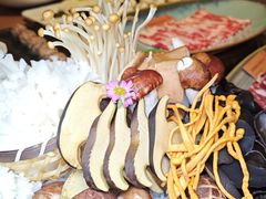 -腾格里· 蒙古山羊火锅(北京中关村店)
