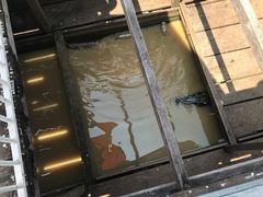 -洞里萨湖