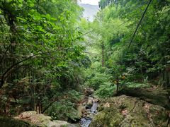 -藏龙百瀑风景区
