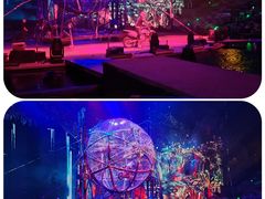 -广州长隆国际大马戏