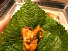 -新石器烤肉(石路天虹店)