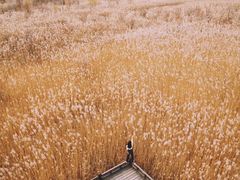 -野鸭湖国家湿地公园