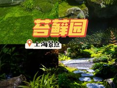 -上海植物园-4号门售票处