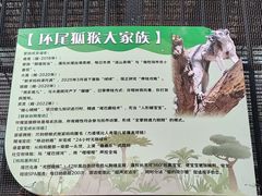 -保定市动物园