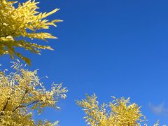 -仙海旅游度假区