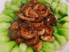 香菇扒油菜-国庆烧麦馆