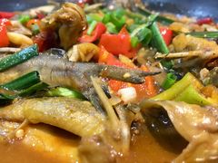汪刺鱼-汪记土菜(岩寺店)