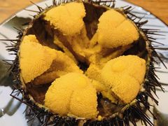 海胆-松云居