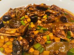 甲鱼-子福慧(虹桥店)