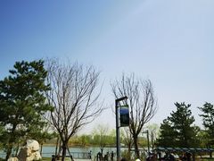 -东郊湿地公园