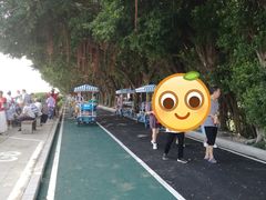 -大湾区中央湿地公园