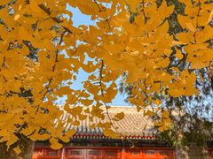 -承恩寺